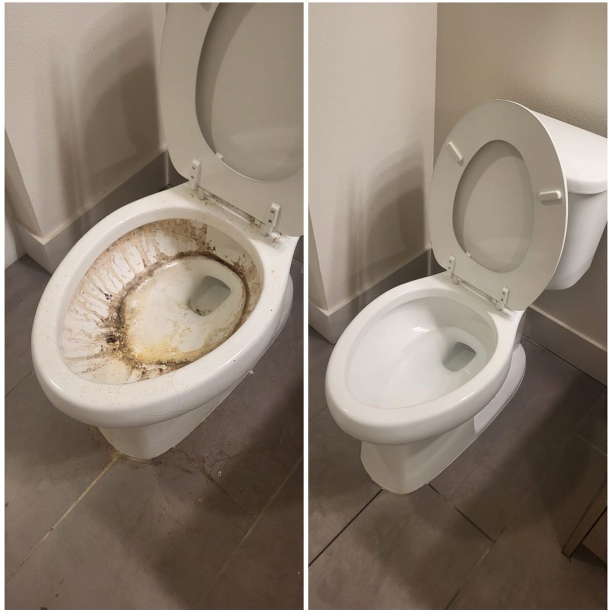 Toilet deep clean before and after