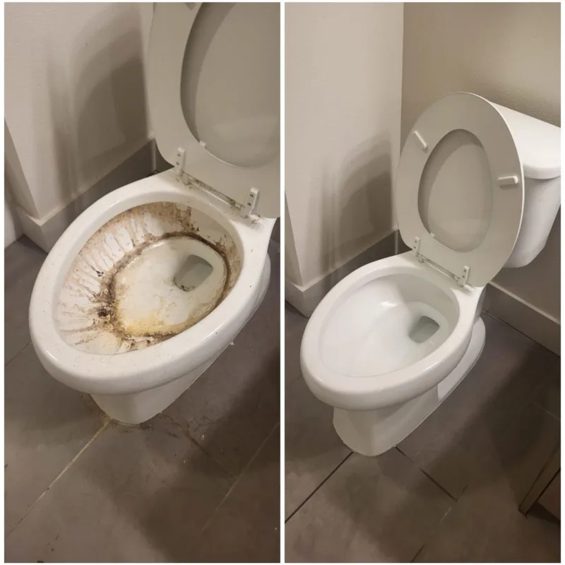Toilet deep clean before and after